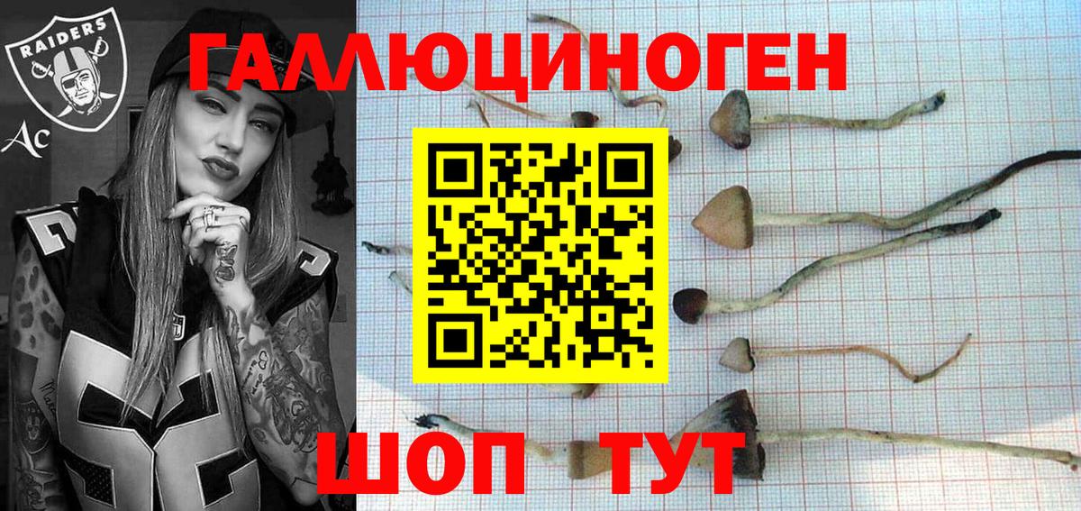 Галлюциногенные грибы мицелий Фрязино